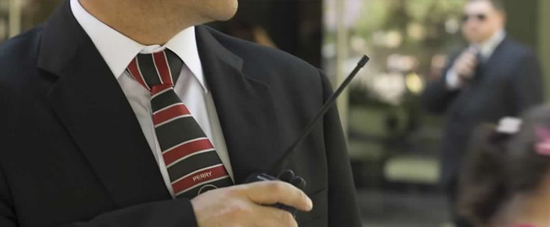 Técnicas para la Supervisor de Seguridad Privada